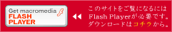 Flash player DL