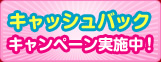キャッシュバックキャンペーン実施中!