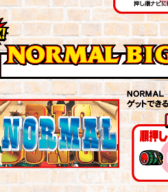 NORMAL BIG