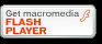 flash_player